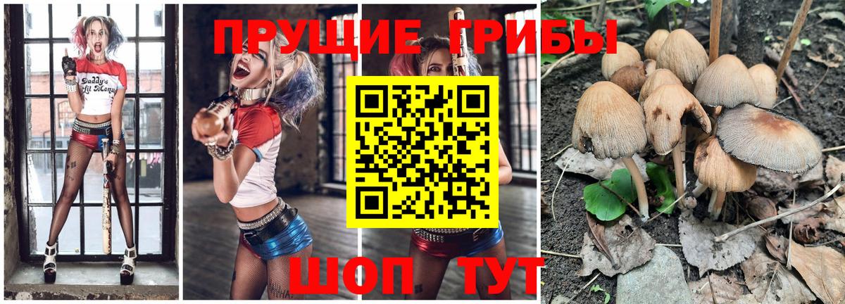 Псилоцибиновые грибы ЛСД  Псилоцибиновые грибы мицелий  Вход с VPN  Томск 